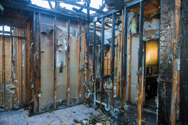 Professional Structural Rebuild technician working in Falmouth, KY